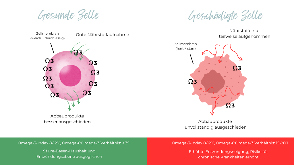 Zellgesundheit: Gesunde Zelle vs. Geschädigte Zelle
